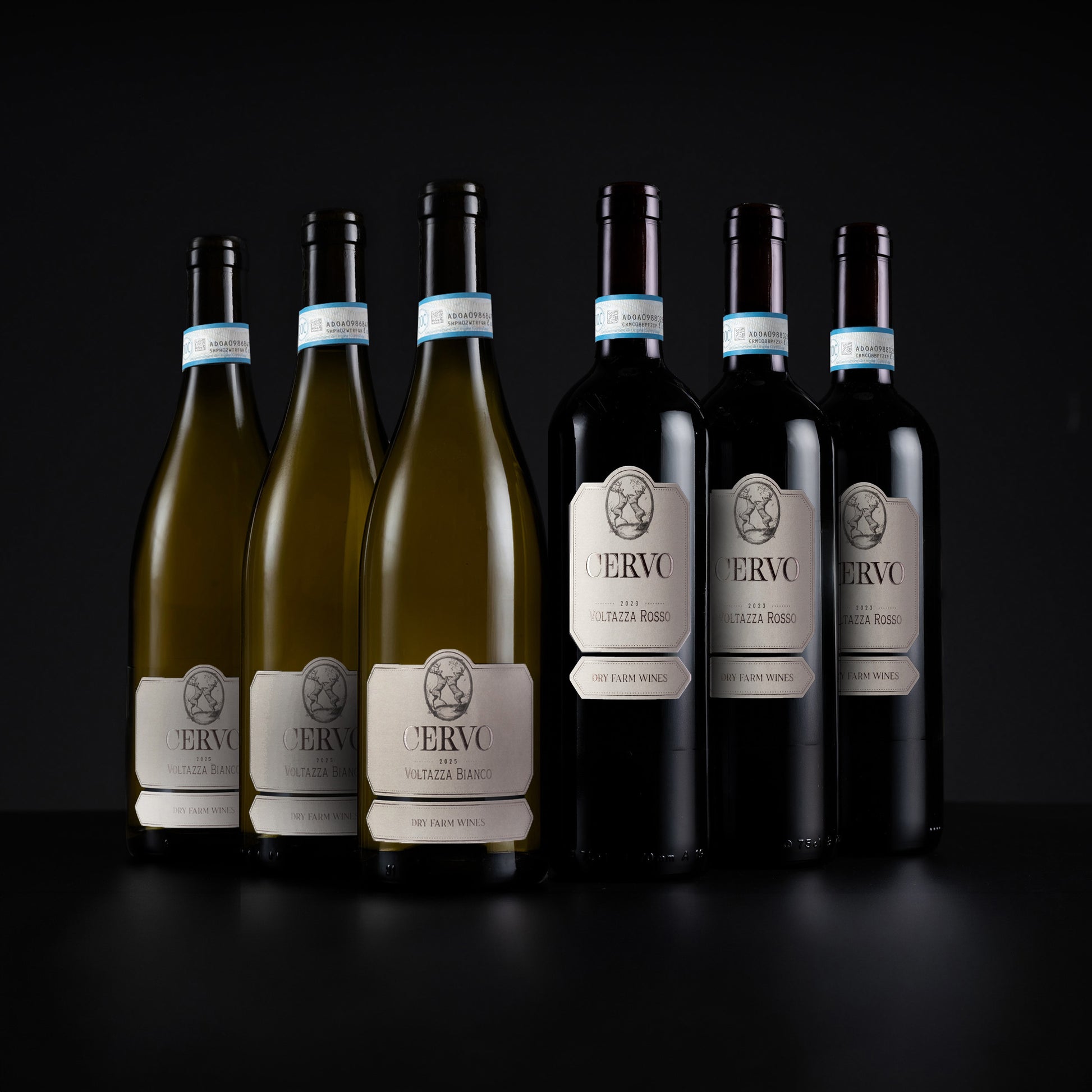 Six wine bottles arranged in a row on a dark studio background, including two pale yellow-green bottles, two dark red bottles, and two dark bottles with cream labels. The front labels read 'ERVOC' and 'VALLANCIA RESERVO'.