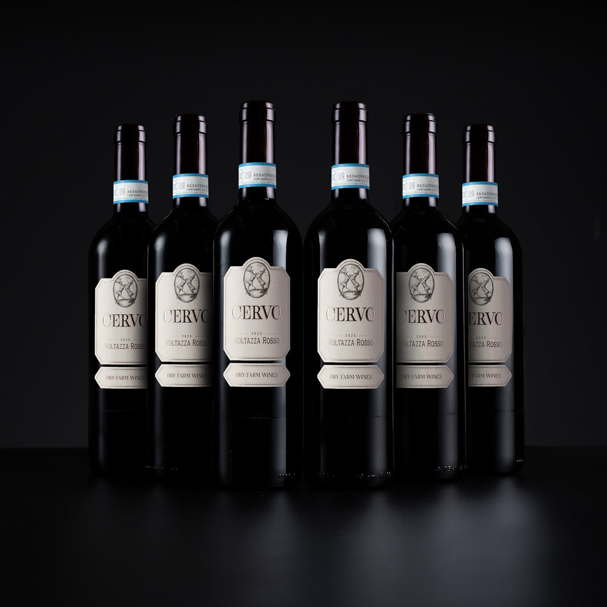 Six dark wine bottles with cream labels and blue neck bands, arranged in a row against a black background. The central label is larger and reads 'ERVOC' with 'MALACCA RISOR' below, while the side bottles show a similar design.