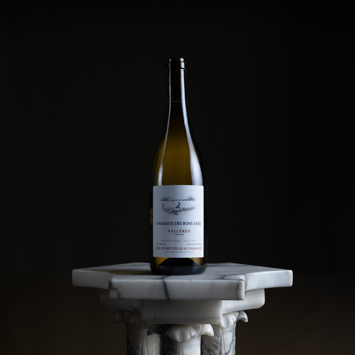 A single wine bottle with a white label stands centered on a white marble pedestal against a black background. The label reads Domaine des Rosiers Vallée.
