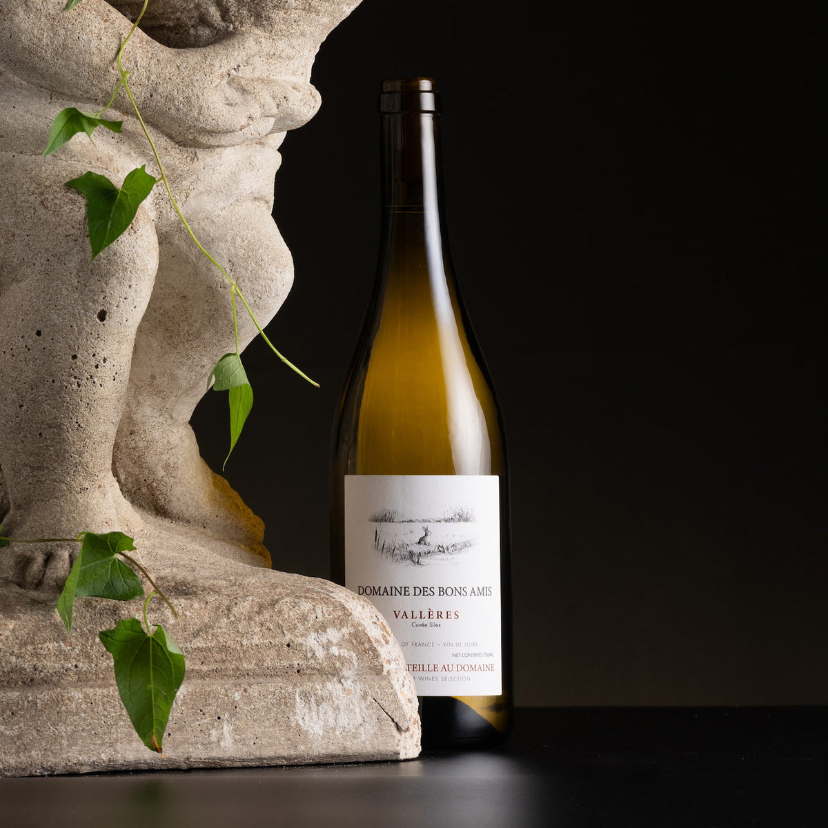 A bottle of Somaine des Bons-Arts Vallbères white wine stands on a dark surface next to a stone sculpture with green vines, set against a solid black background.