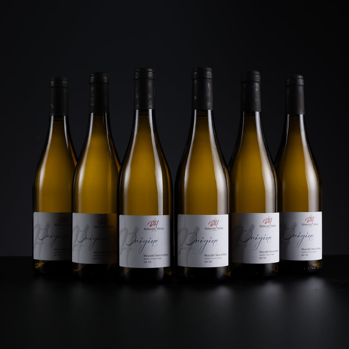 2025 Domaine Henri Origine Muscadet Sèvre et Maine