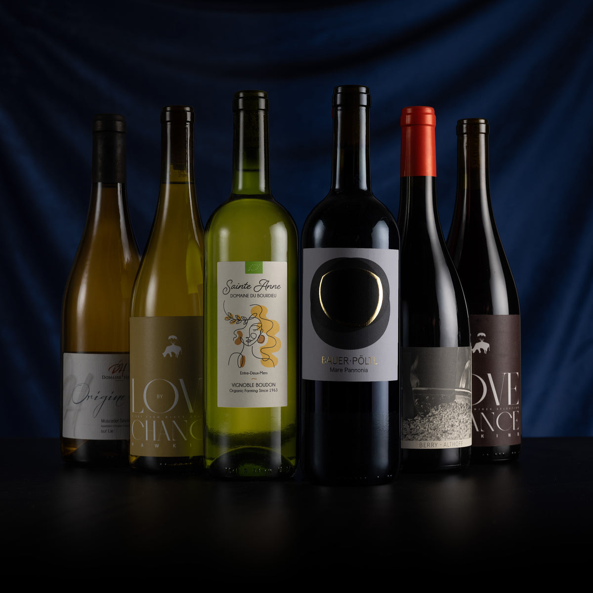 Six wine bottles arranged in a row on a dark surface against a deep blue draped backdrop. The bottles include white, green, and red wines, with labels including 'LOVE MANGA' and 'FADER POL'.