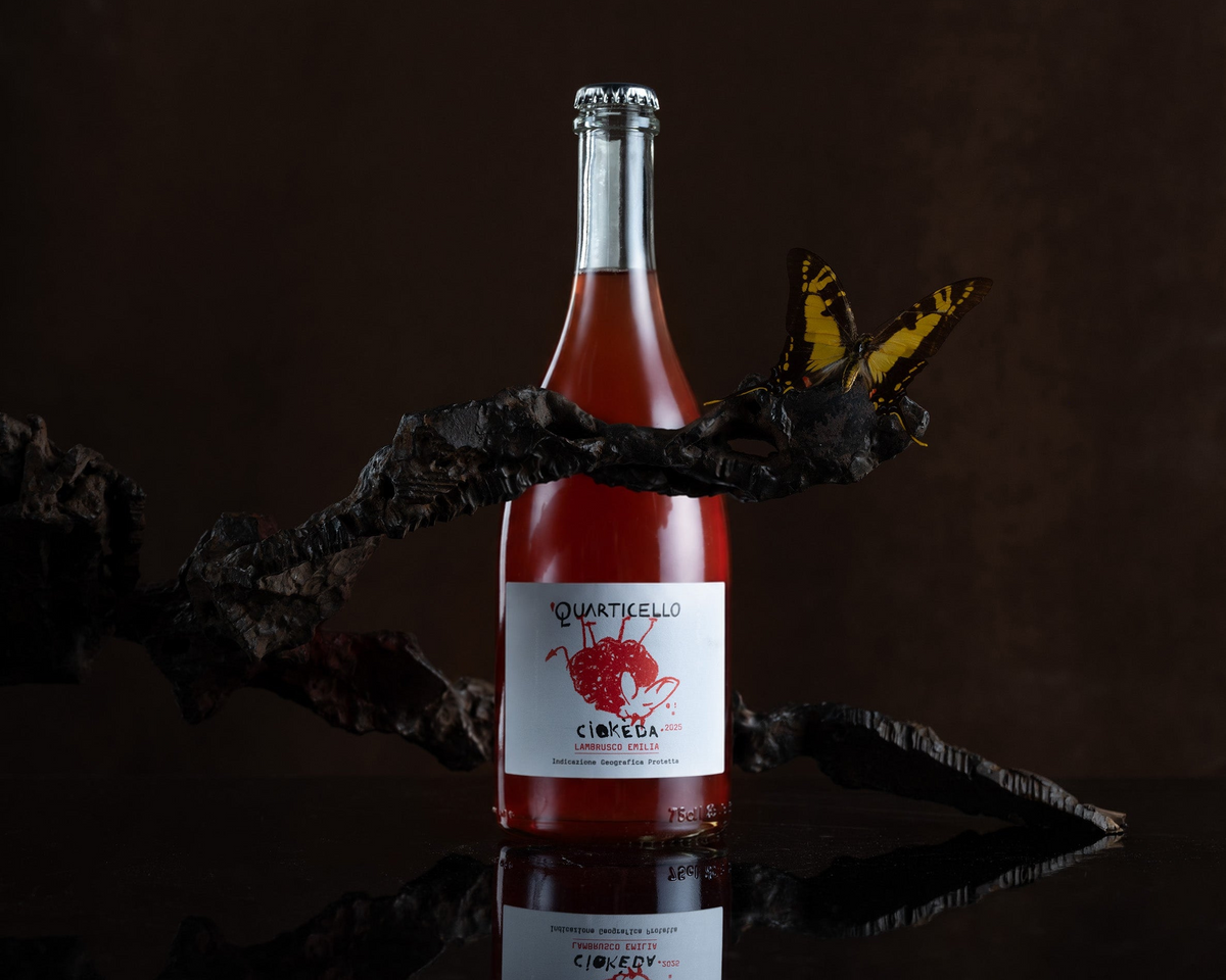 A bottle of sparkling wine with pinkish-red liquid, featuring a white label with a red raspberry illustration and the brand name 'Quattikello'. The bottle is styled on a dark reflective surface with a decorative branch and butterfly prop against a dark brown background.