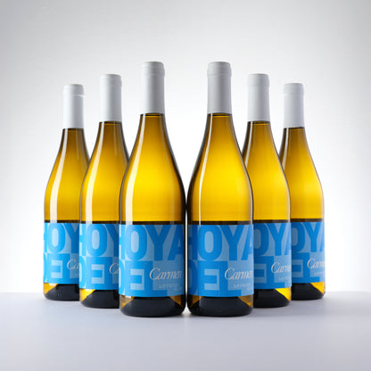 2023 Vegatolosa Sauvignon Blanc