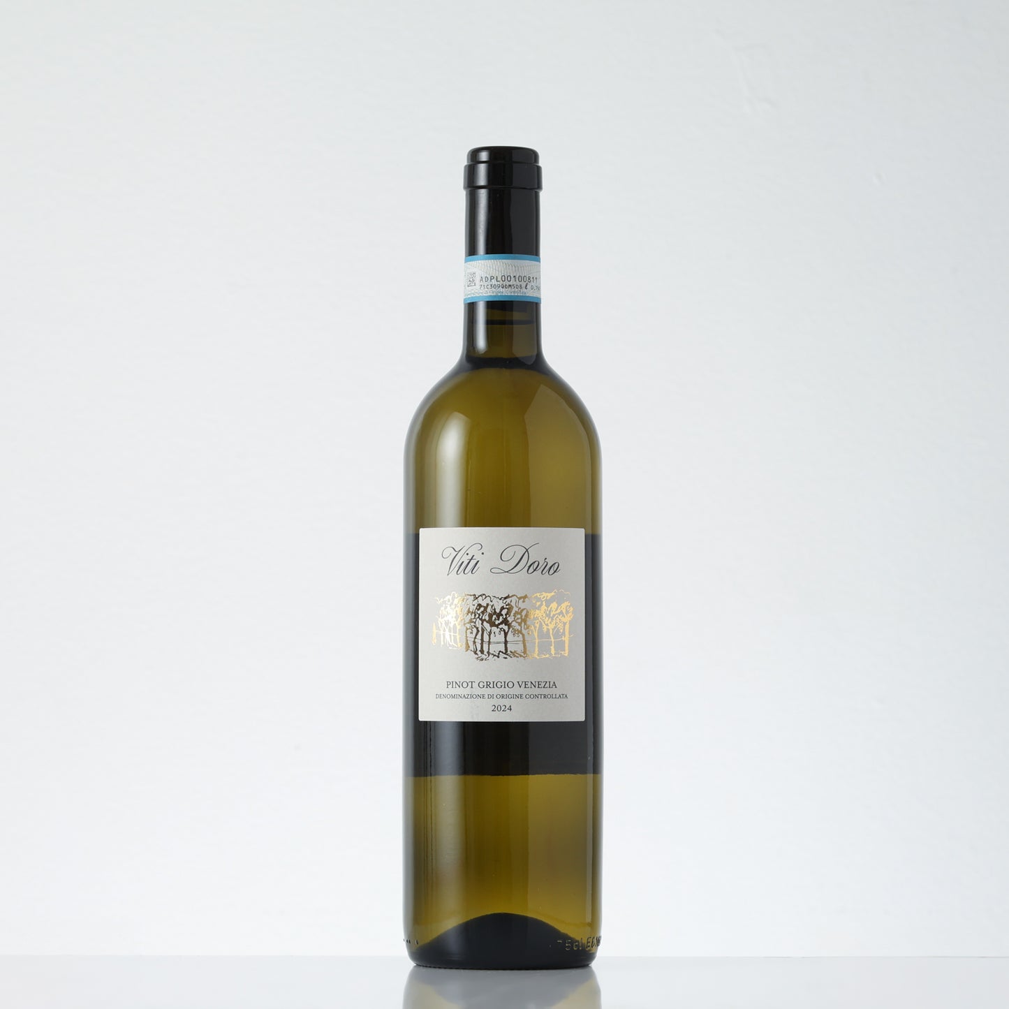 2024 Fidora Cantine Viti Doro Pinot Grigio