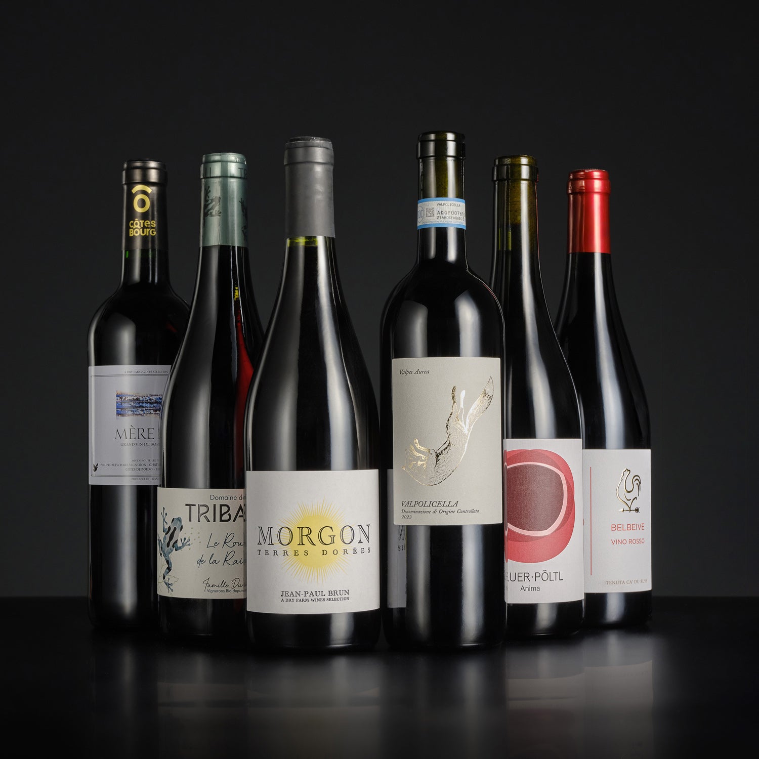 Collection of wine bottles with various labels on a dark background