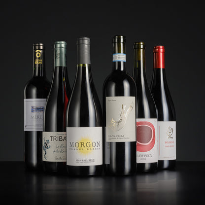 Collection of wine bottles with various labels on a dark background