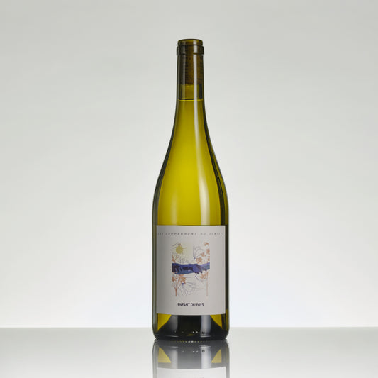 Wine bottle with a label on a white background