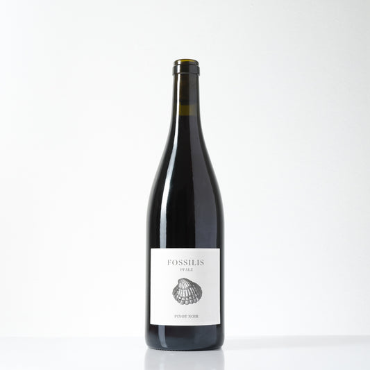 2023 Weinkontor Pflüger Fossilis Pinot Noir