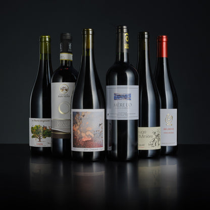 Collection of wine bottles with various labels on a dark background