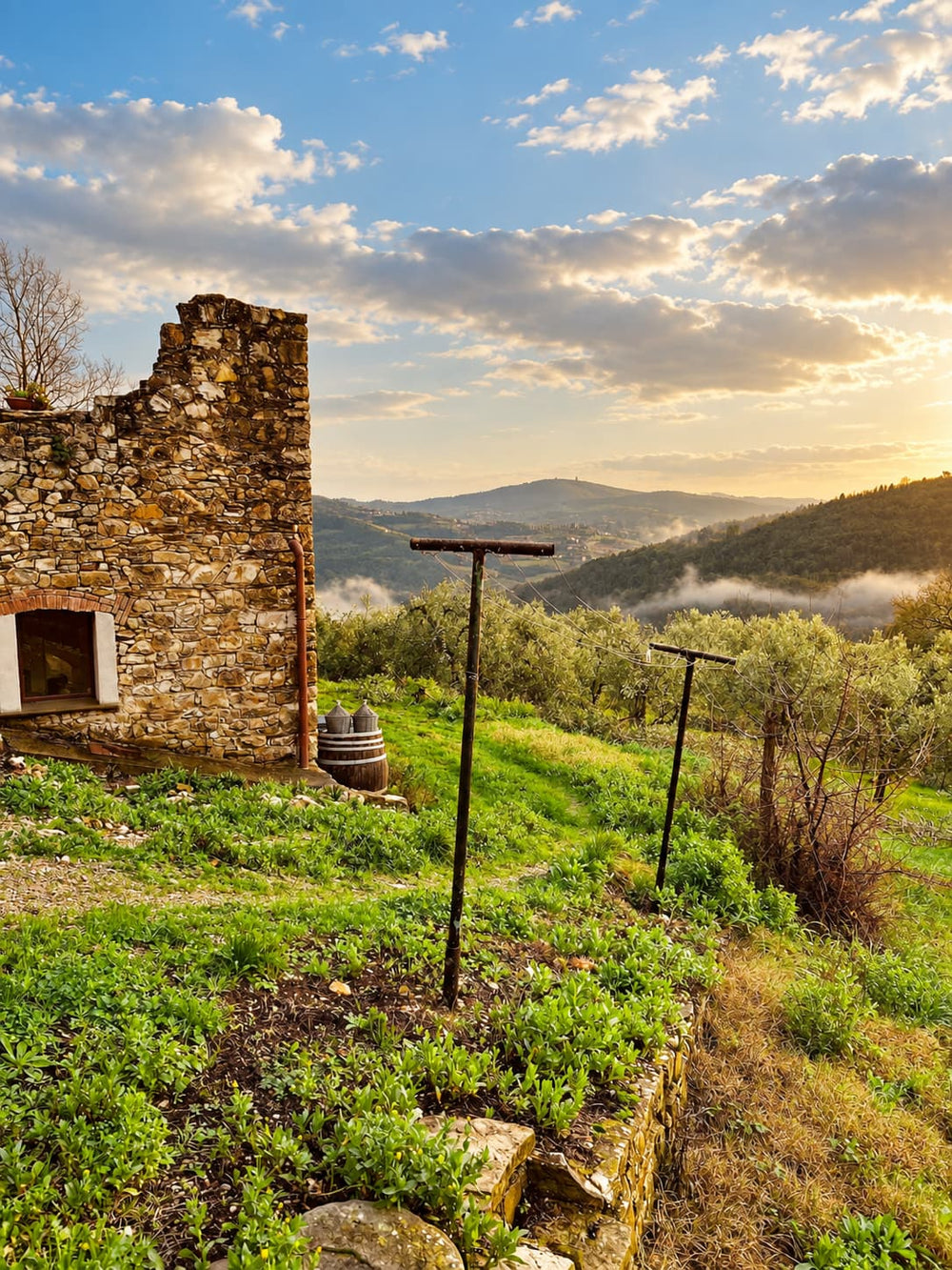 A scenic landscape photograph of a stone ruin on a grassy hill overlooking misty mountains under a blue sky with golden sunset clouds.