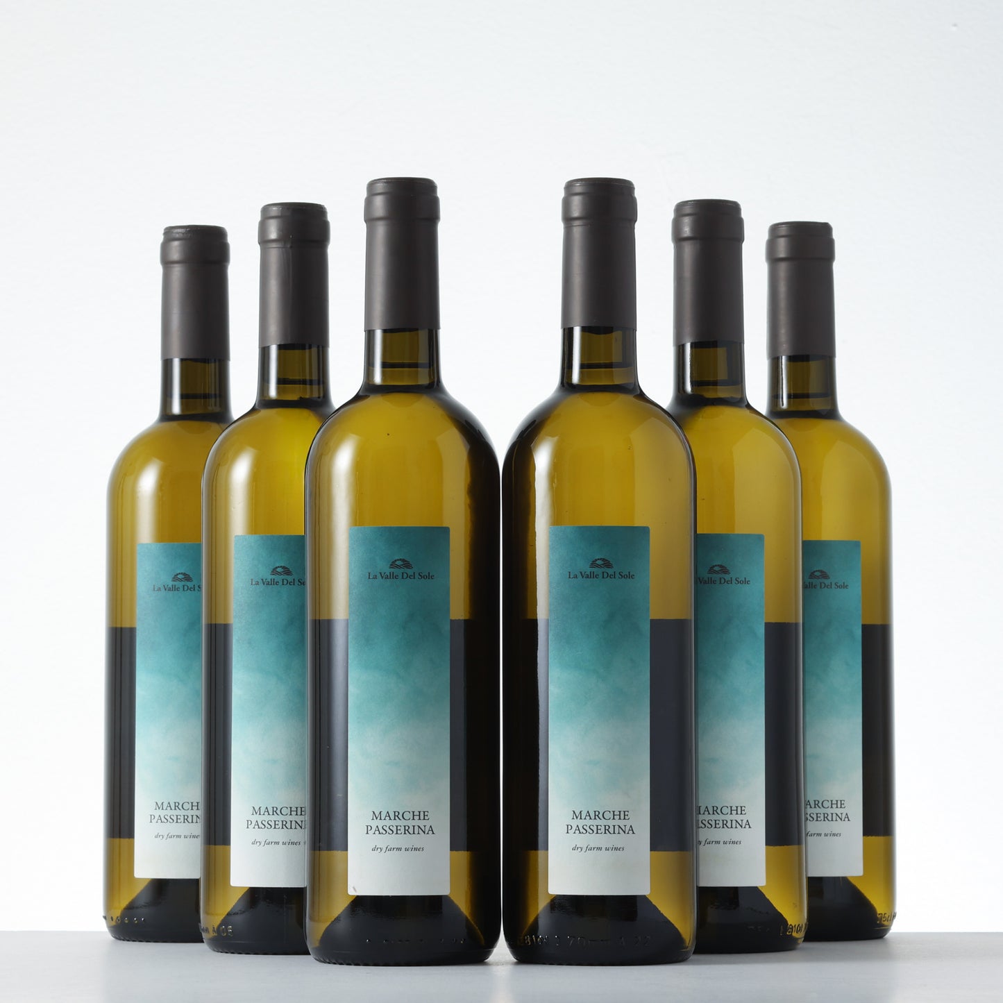 2024 Le Valle del Sole Marche Passerina