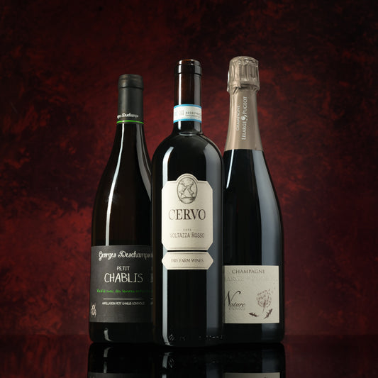 Premium Holiday Gift