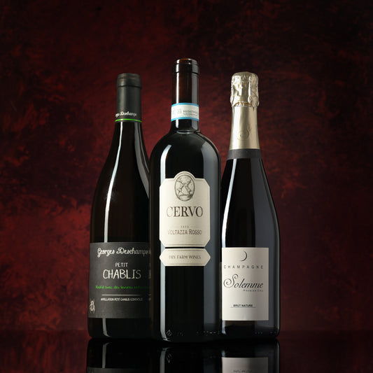 Premium Holiday Gift