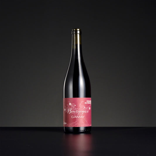 2024 Domaine du Penlois Bourgogne Gamay