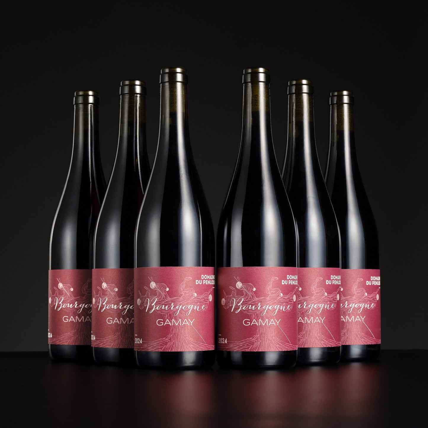 2024 Domaine du Penlois Bourgogne Gamay