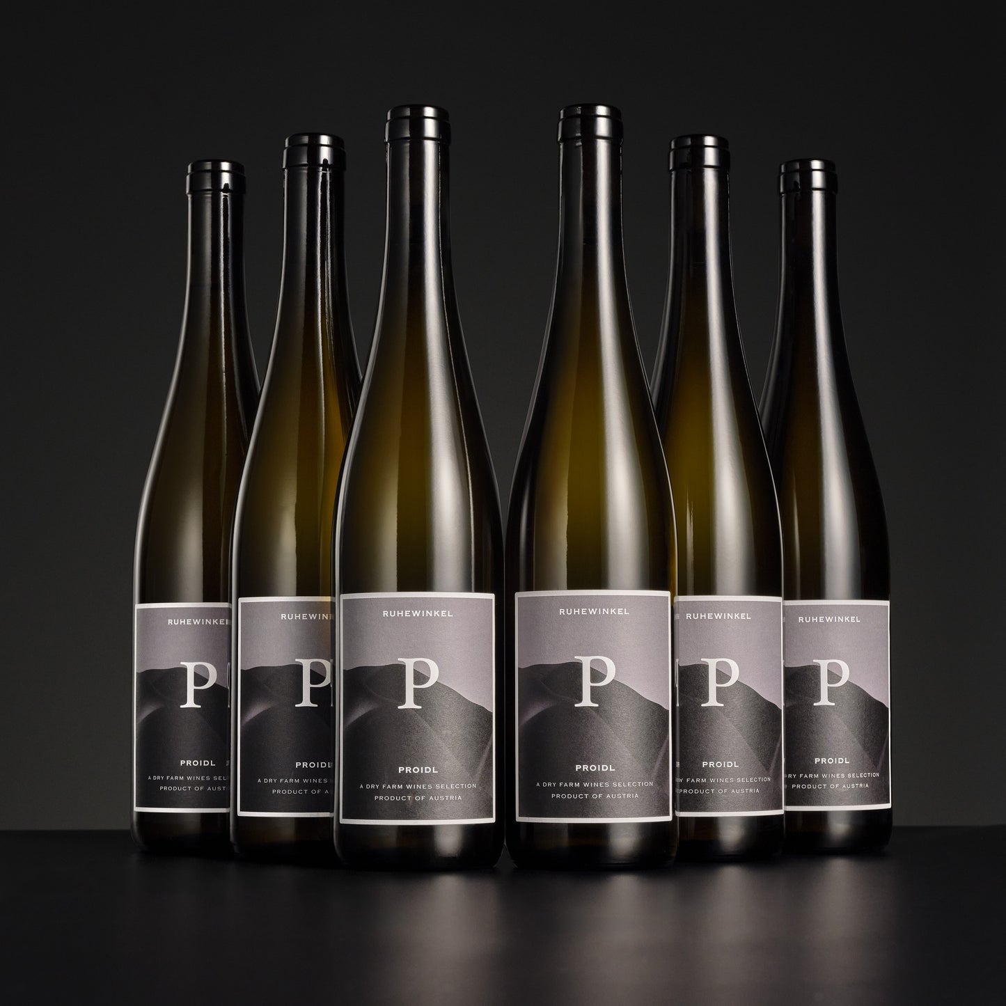 2024 Proidl Ruhewinkel Grüner Veltliner