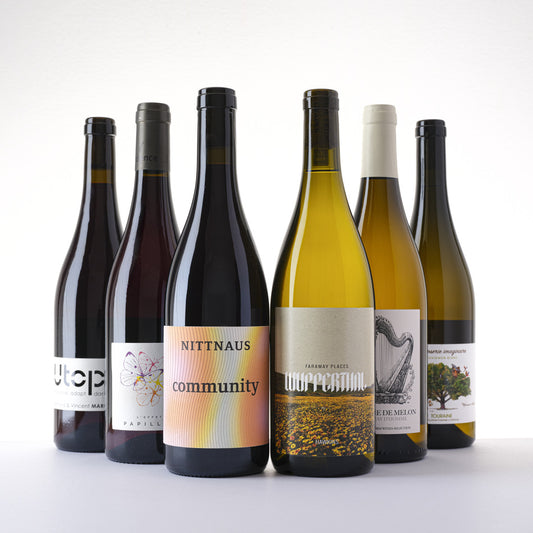 A Mix of Our Red & White Wines