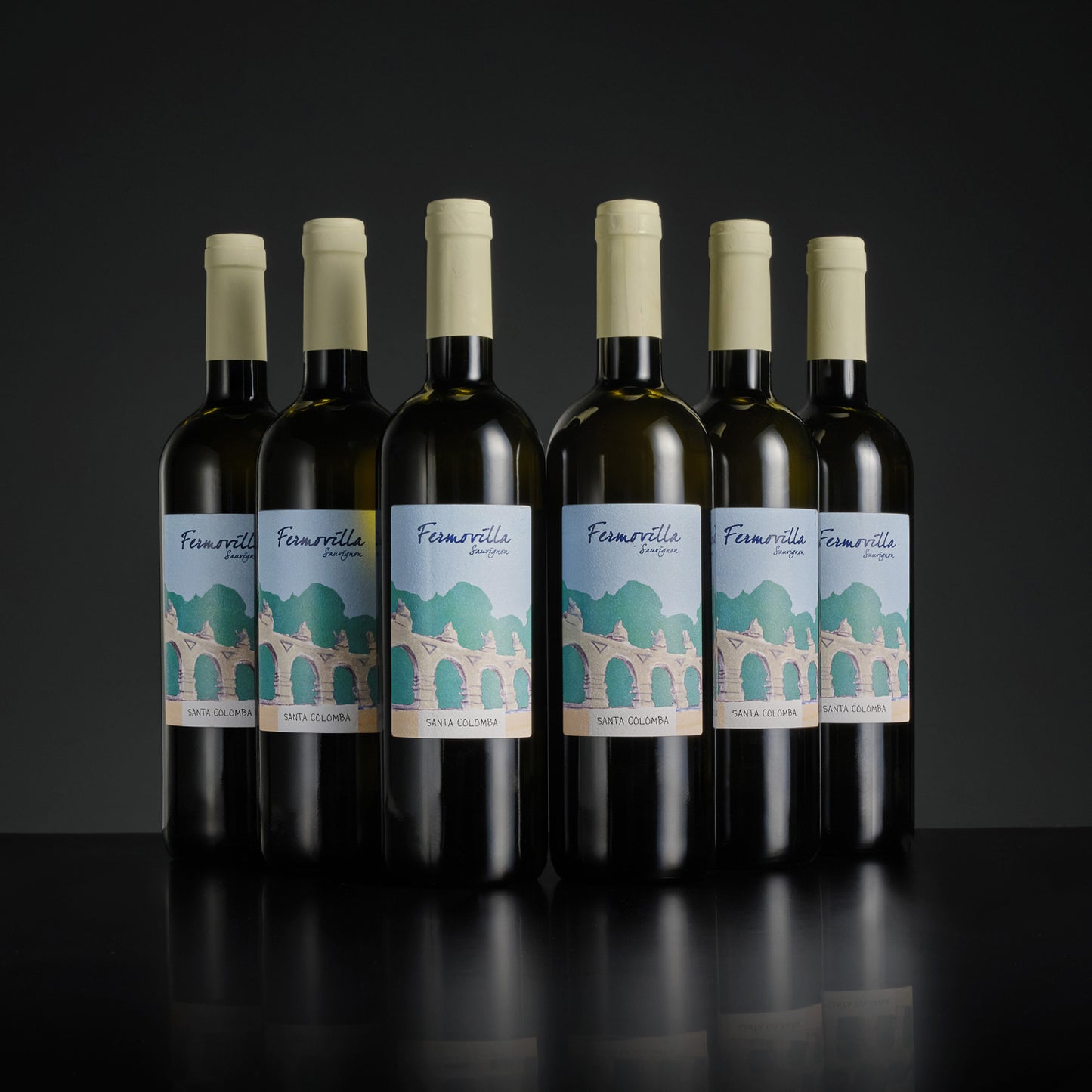 Six bottles of Fiemavilla wine arranged in two rows on a dark background