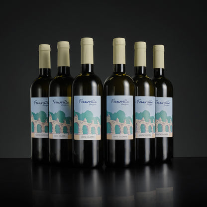 Six bottles of Fiemavilla wine arranged in two rows on a dark background