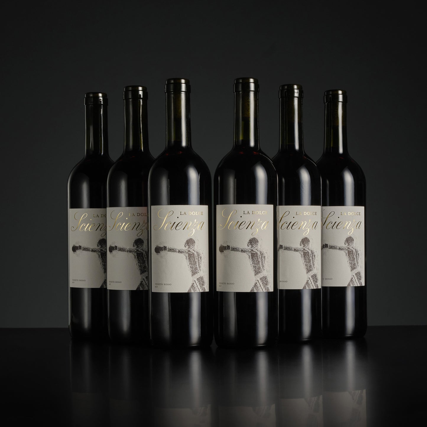 Six bottles of wine with labels on a black background
