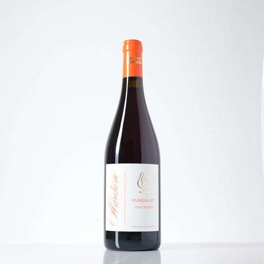 2024 Marchisio Family Mungalat Nebbiolo