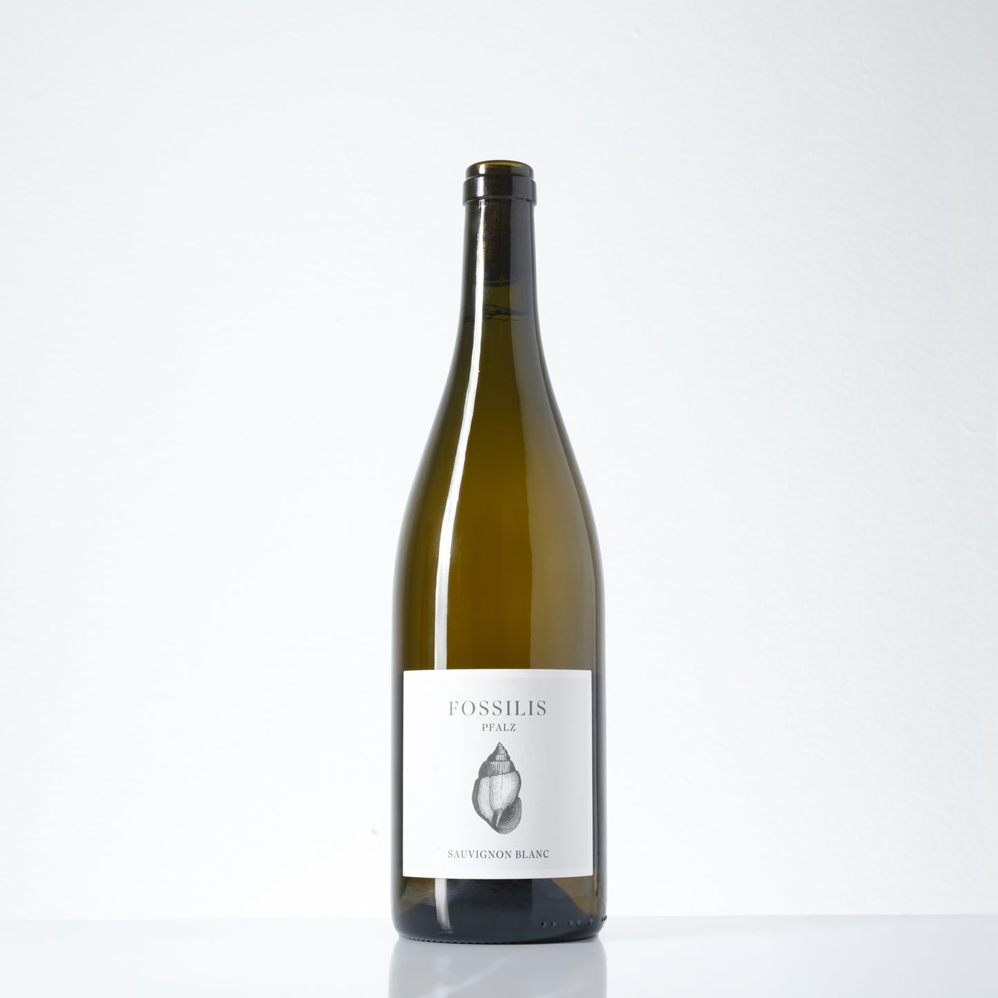 2024 Weinkontor Pflüger Fossilis Sauvignon Blanc