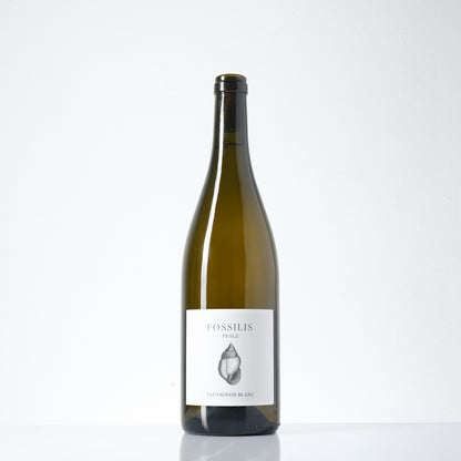 2024 Weinkontor Pflüger Fossilis Sauvignon Blanc