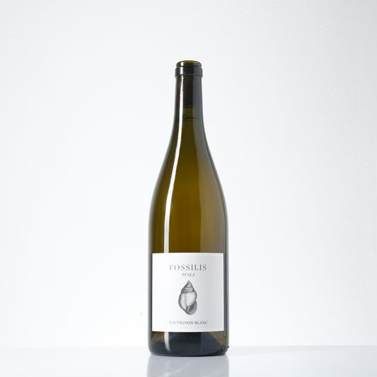 2024 Weinkontor Pflüger Fossilis Sauvignon Blanc