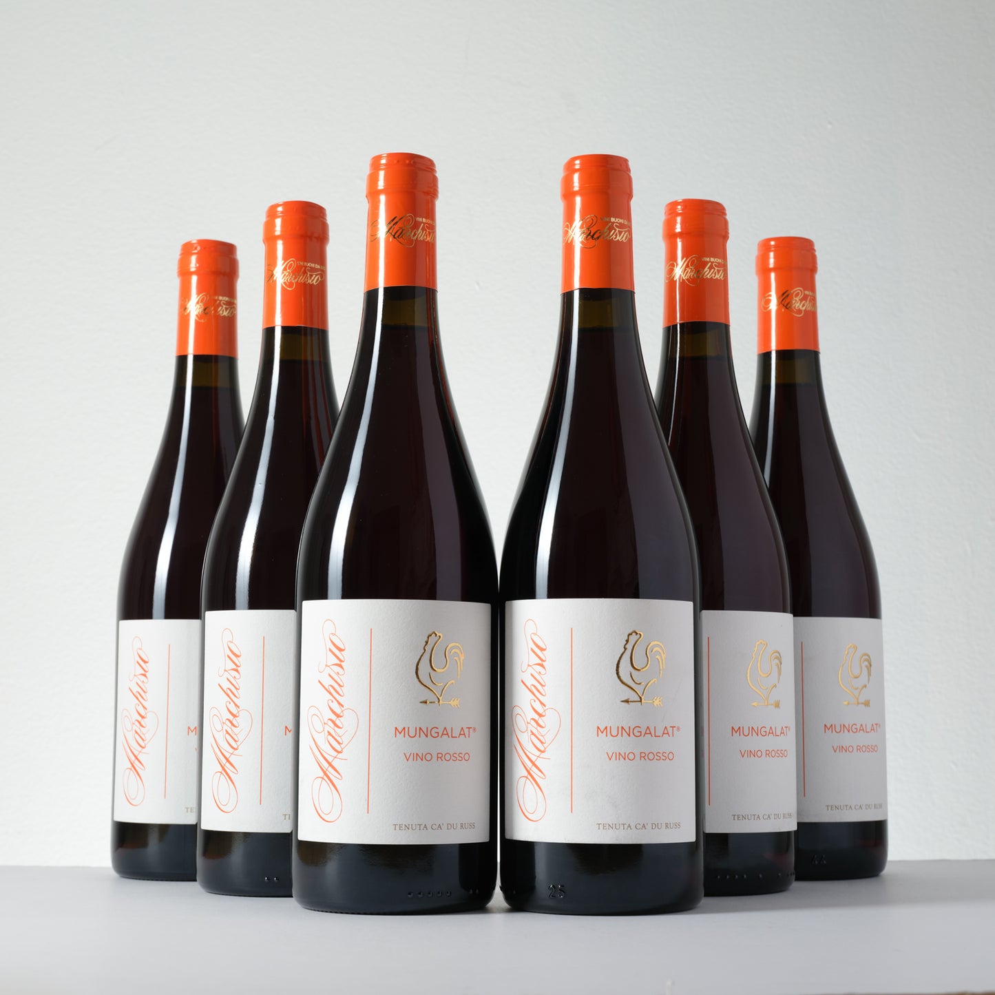 2024 Marchisio Family Mungalat Nebbiolo