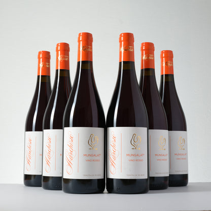 2024 Marchisio Family Mungalat Nebbiolo