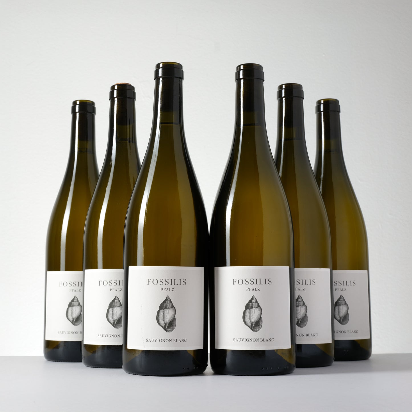 2024 Weinkontor Pflüger Fossilis Sauvignon Blanc