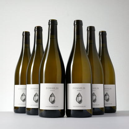 2024 Weinkontor Pflüger Fossilis Sauvignon Blanc