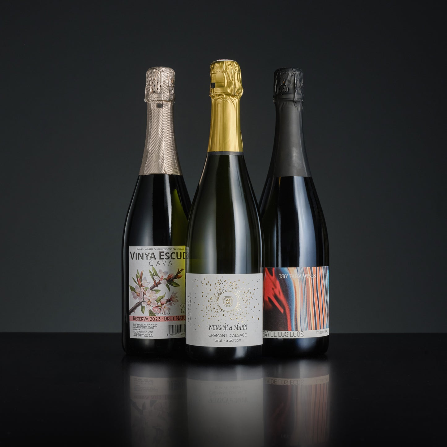Three wine bottles with labels on a reflective surface and dark background