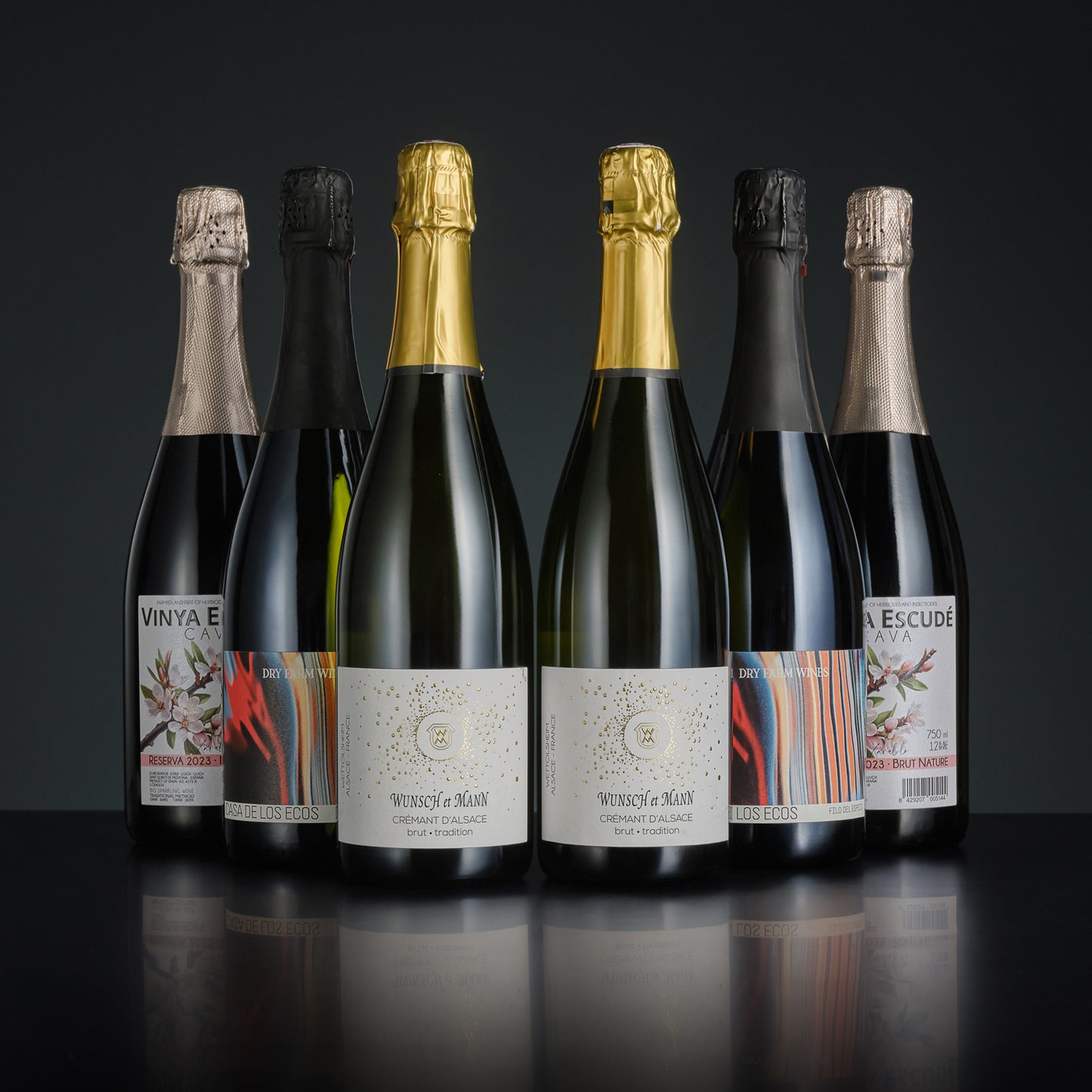 Row of wine bottles with various labels on a dark background