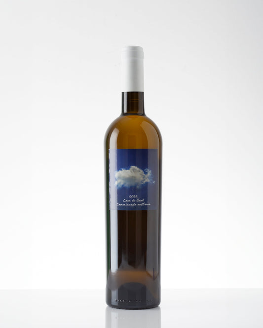 2022 Casa di Baal Camminando Sull'Aria