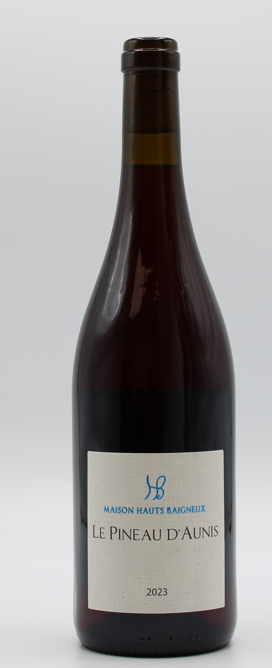 2023 Philippe & Nicolas Le Pineau d'Aunis