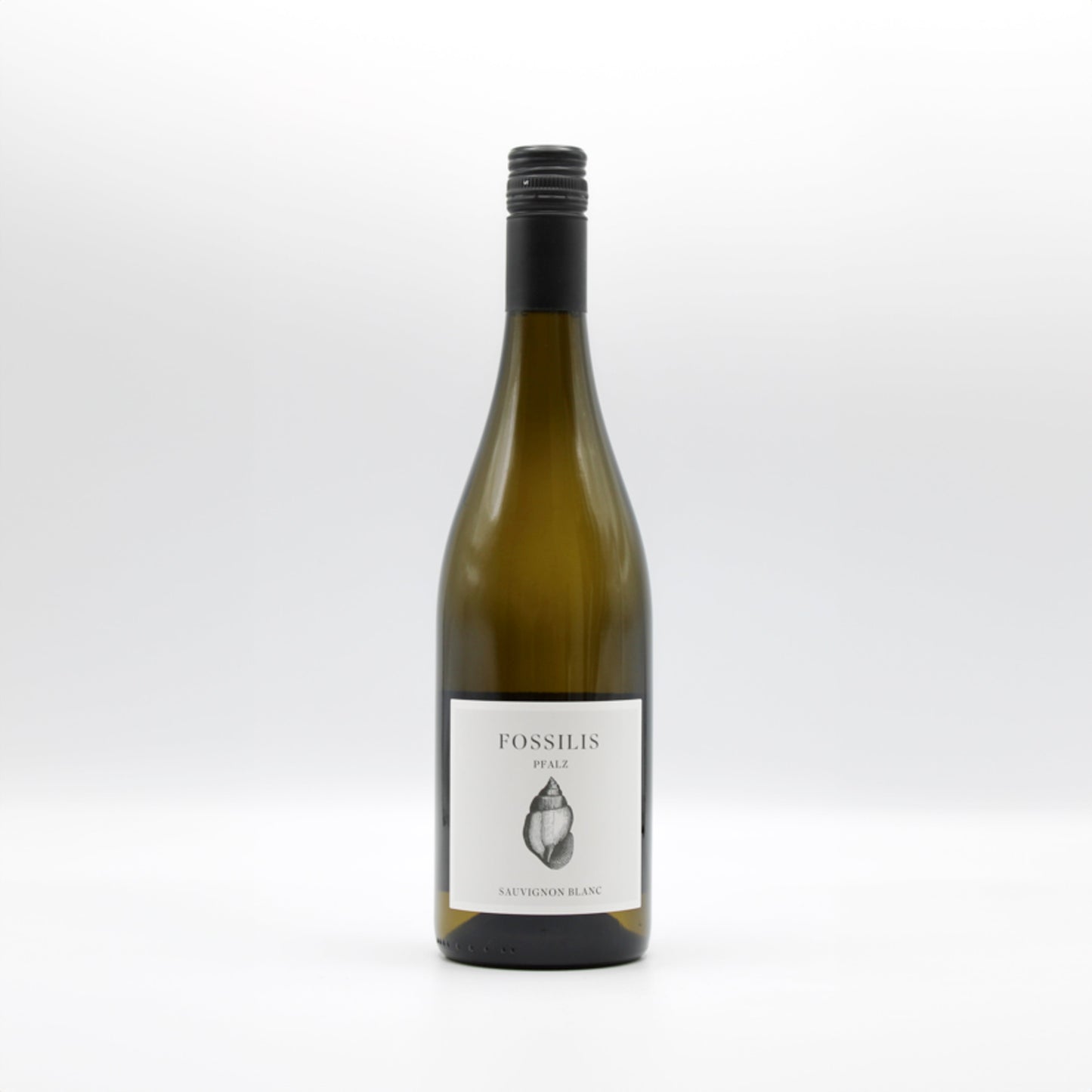 2023 Weingut Pflüger Sauvignon Blanc 'Fossilis'