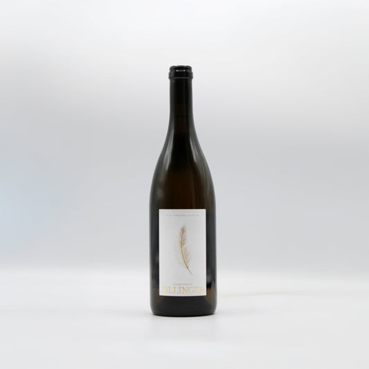 2023 Carmen und Herbert Zillinger Federgewicht