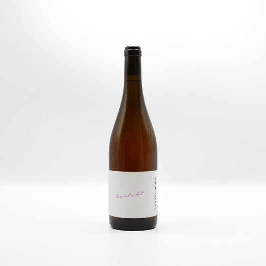 2023 Philip Lardot Kontakt