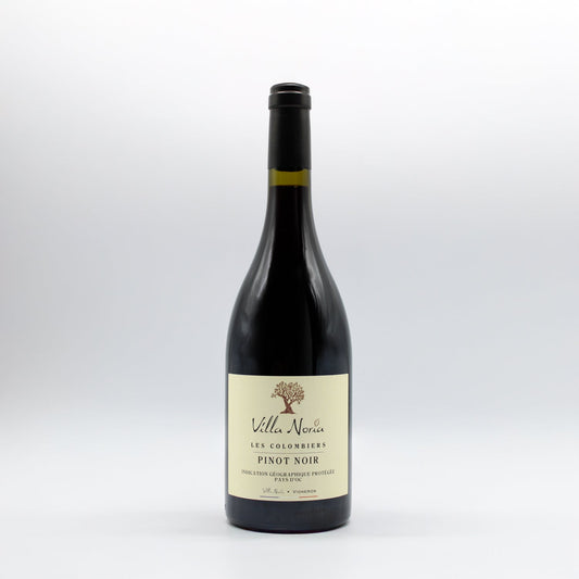 2024 Villa Noria Pinot Noir