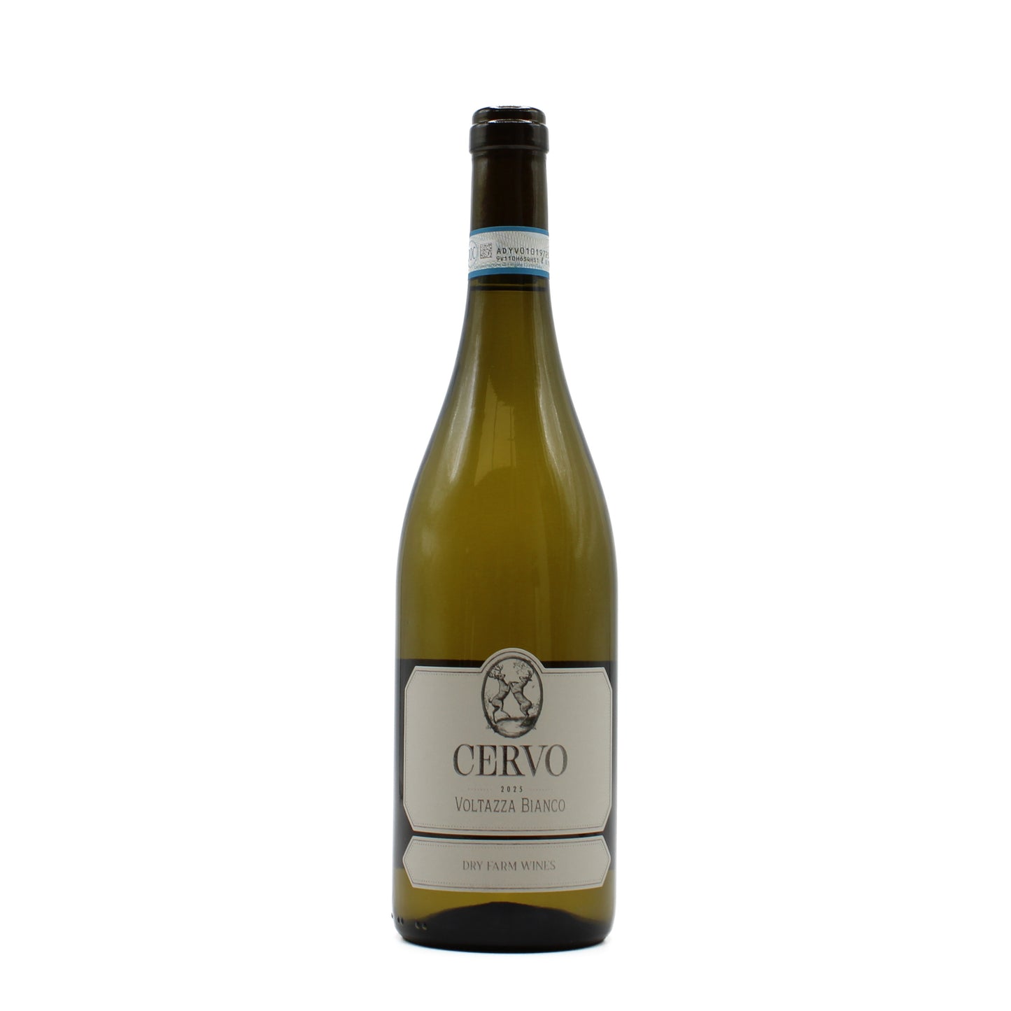 2025 Cervo Voltazza Bianco