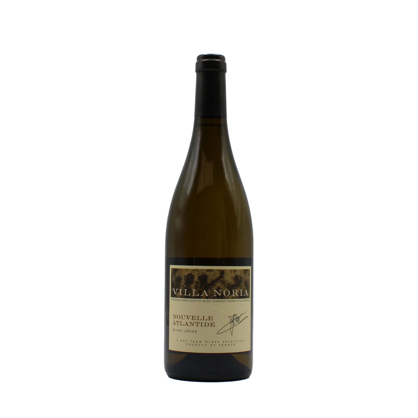 2025 Villa Noria Nouvelle Atlantide White