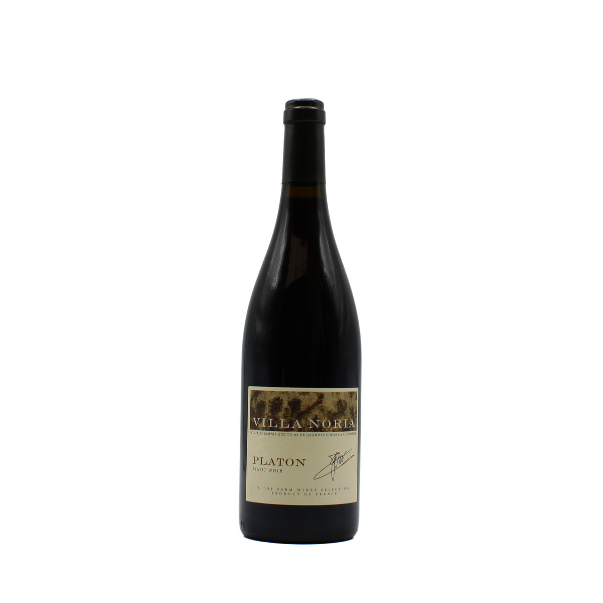 2025 Villa Noria Cuvée Platon Pinot Noir