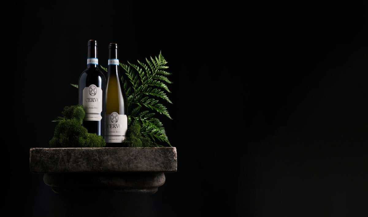 Two Vervi wine bottles, one dark and one pale, standing on a rustic stone slab with green moss and a fern against a solid black background.