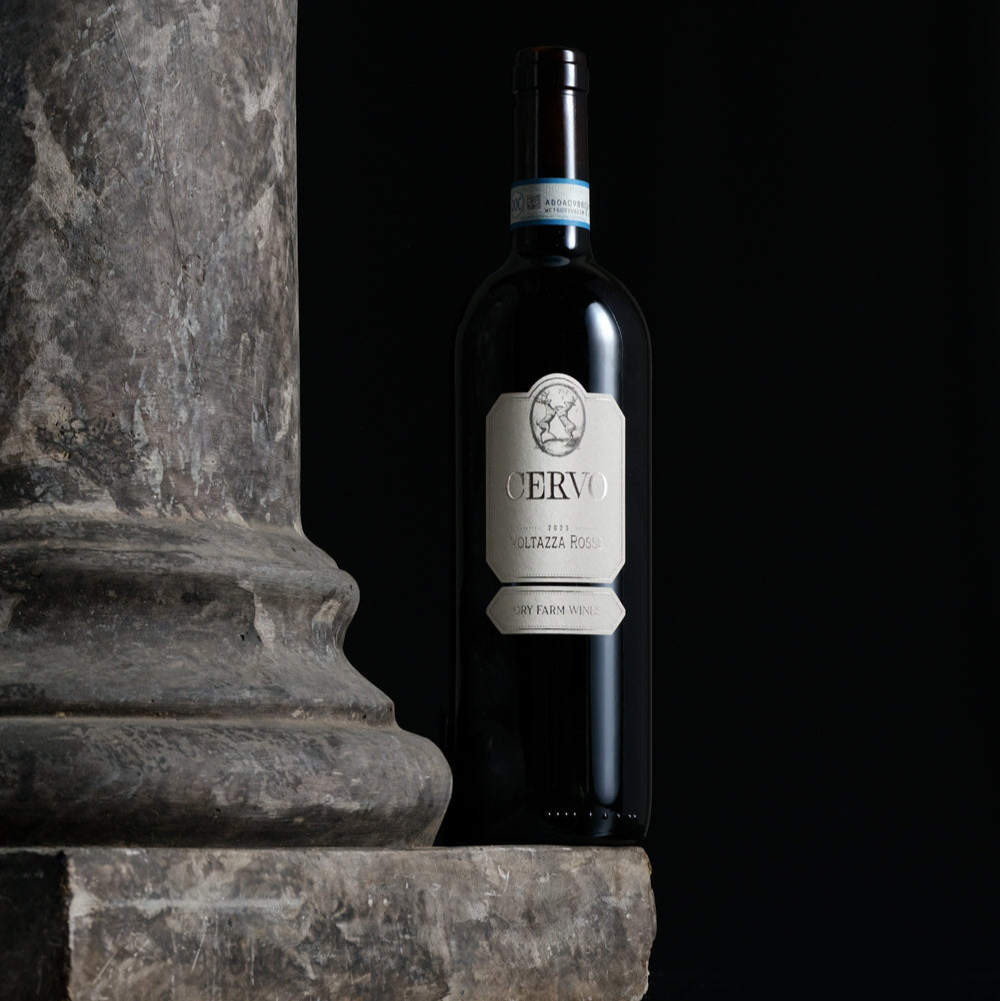 2023 Cervo Voltazza Rosso