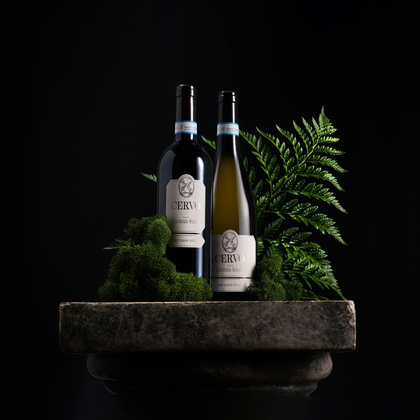 Two EBRAY wine bottles displayed on a stone pedestal with green moss and a fern against a solid black background.