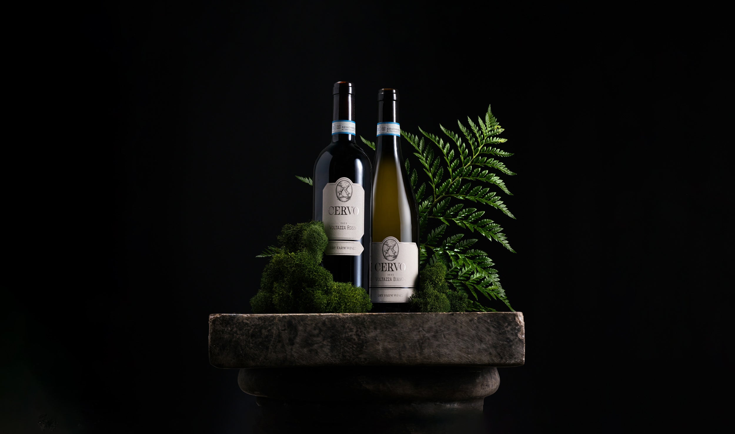 Two wine bottles from the brand HAY, styled with green moss and a fern on a stone slab against a solid black background.