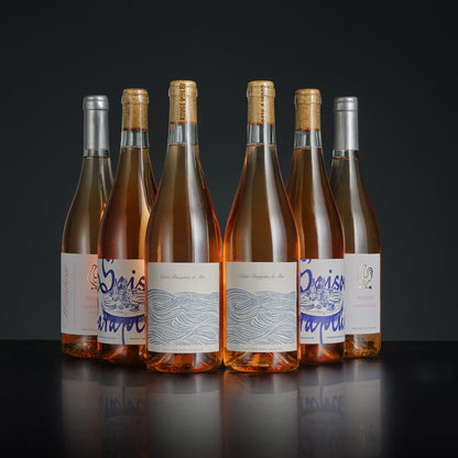 Row of wine bottles with labels on a dark background