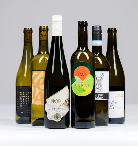Our Most Popular Wines of the Year